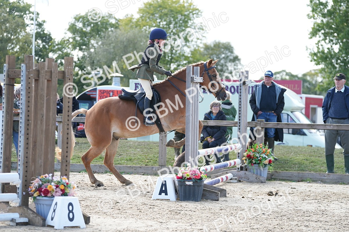 SBM_48471 - J7 - Junior Pony 60cm Championship