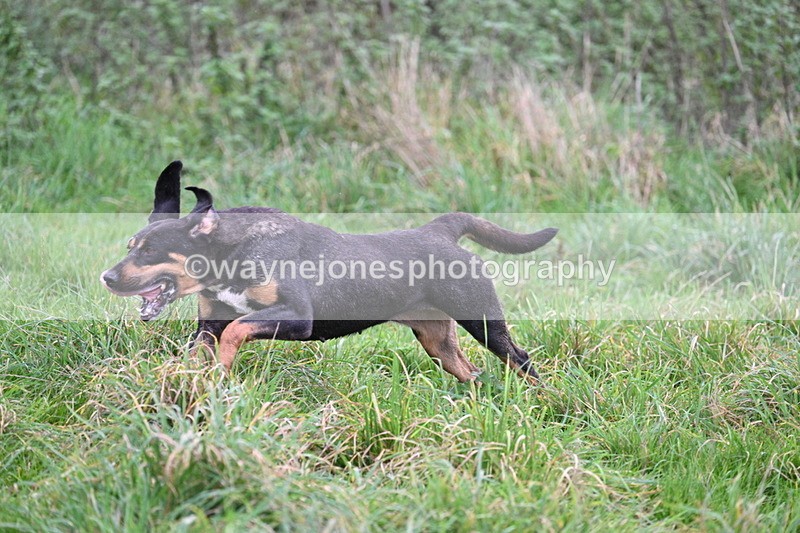 WJ7_8961 - Camera 1 only on this line