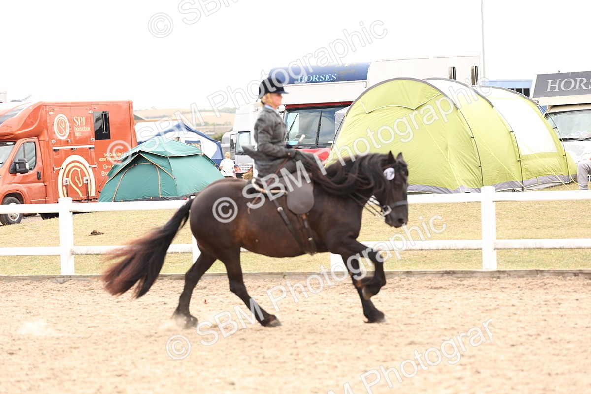 SBM_16396 - Class 211 - Best Side Saddle Horse - Pony
