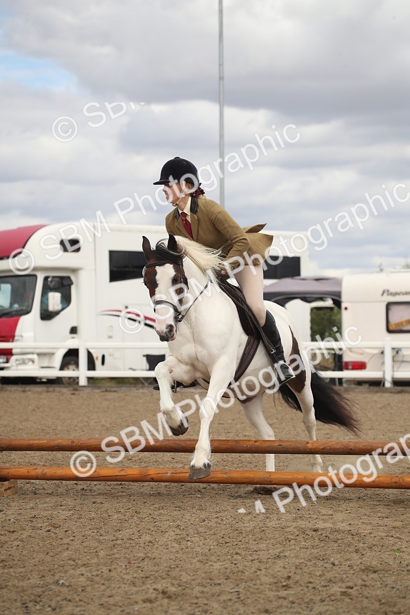 SBM_15215 - Class 506a - Working Veteran - 50cm (15-19)