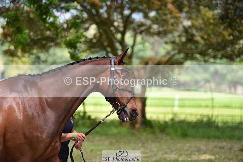 240522-150312-00062 - 302-BGS_LUX_ELECTRIC-Emily_Philp