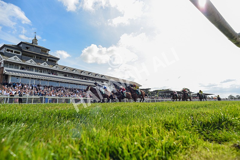 020526-Race 5-Emperor Caradoc-1773 - Race 5 3.55pm Alison And Andrew Richardson Ruby Anniversary Handicap