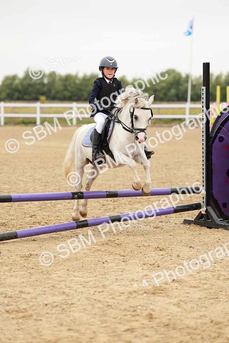 SBM_007151 - Class 2 - 50cm