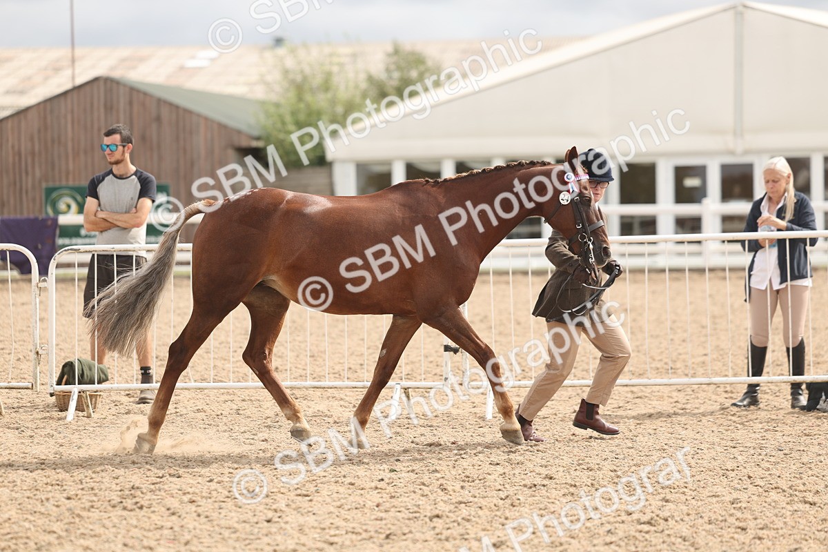 SBM_04914 - Class 20 - IH Veteran