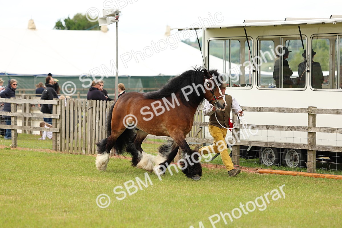SBM_06278 - Class 39-41 TGCA In Hand and Ridden
