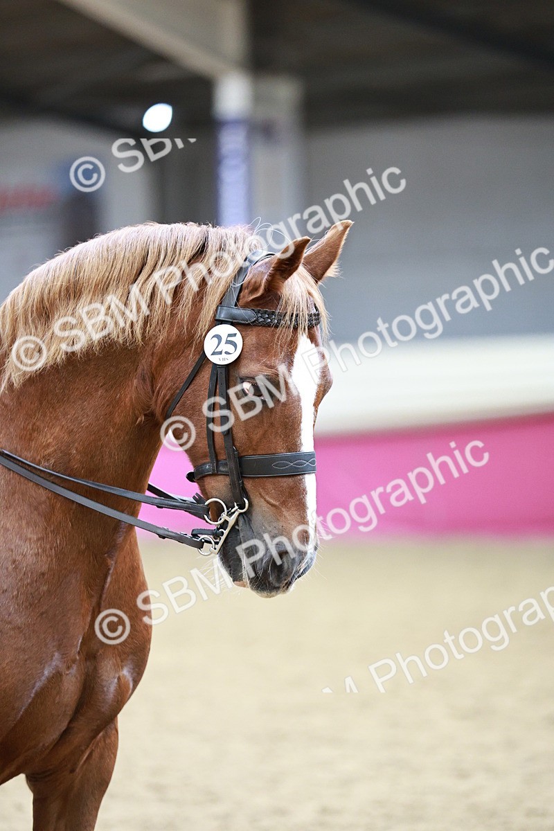 SBM_02234 - Class 4A - Area Ridden Diamond