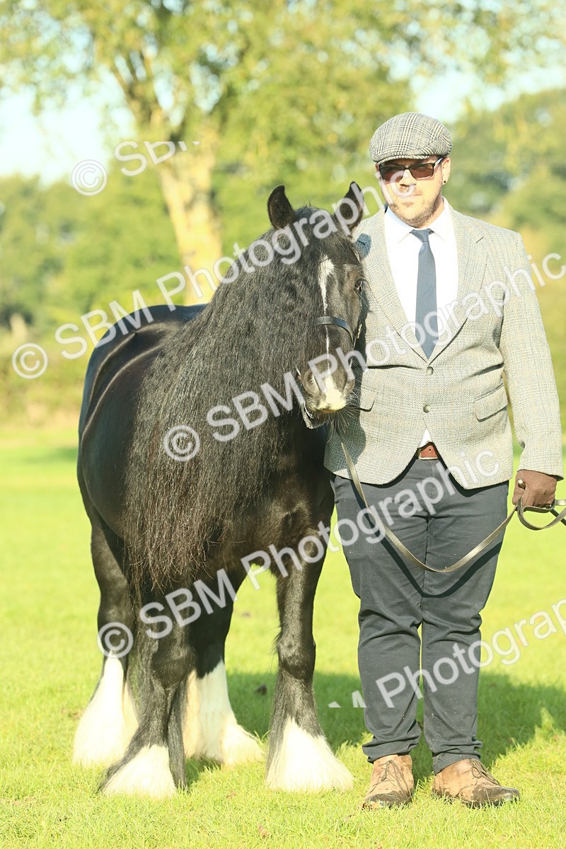 SBM_58584 - S37 - Starters In Hand Showing