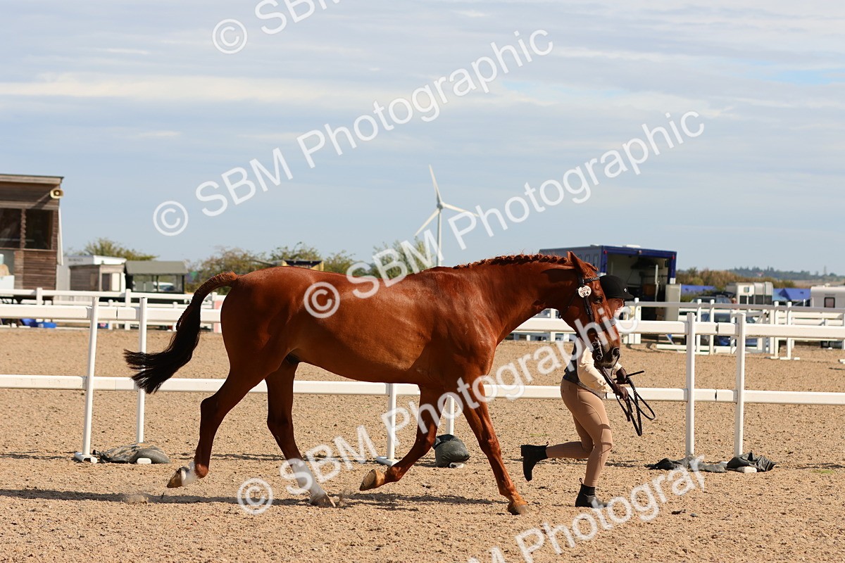 SBM_17877