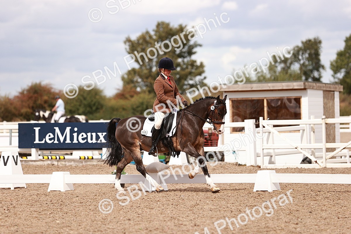 SBM_06235 - Class 37 - Novice 5