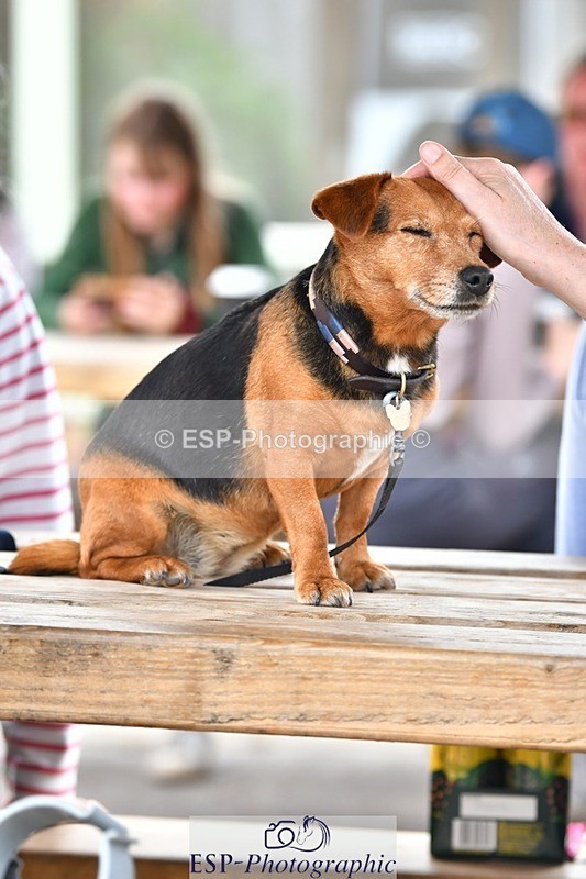 230817-154019-03112 - Presentations