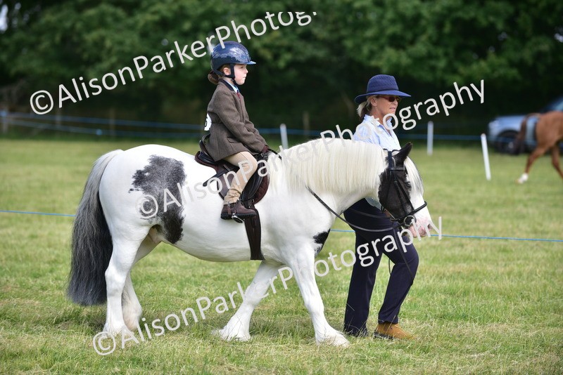 20260614-1125 - Class 11a - Lead Rein Pony (Unplaited)