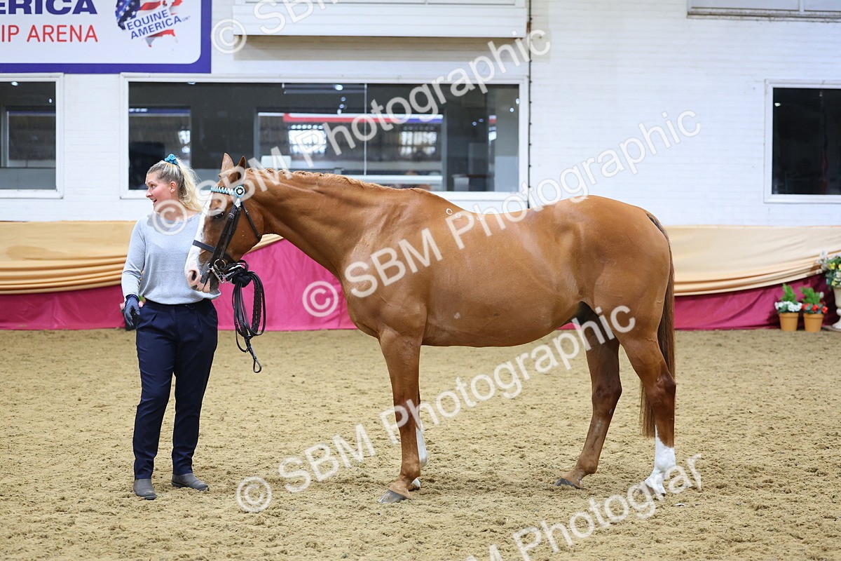 SBM_21062 - Class 902 - Supreme Final IH Veteran