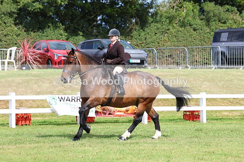 3E7A9734 - Class 5: Rising Star Lightweight/Heavyweight Cobs