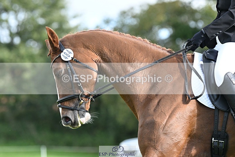 231020-120913-08011 - 484-JESATRAN.FIRECRACKER-Sally.Morton-DR