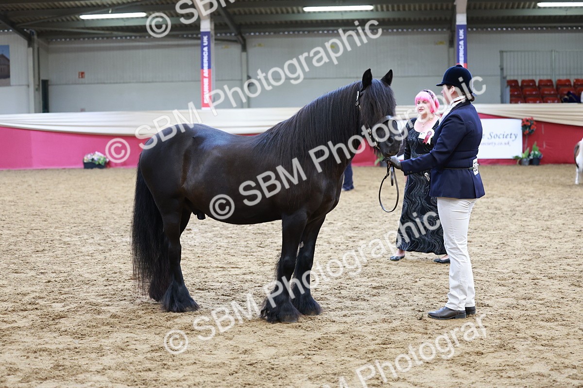 SBM_17354 - Class 951 - M&M IH Supreme Final