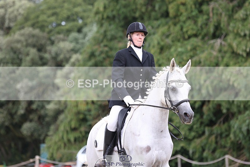 230812-151737-05102 - Cls 5 Novice Bronze 15.00 to End