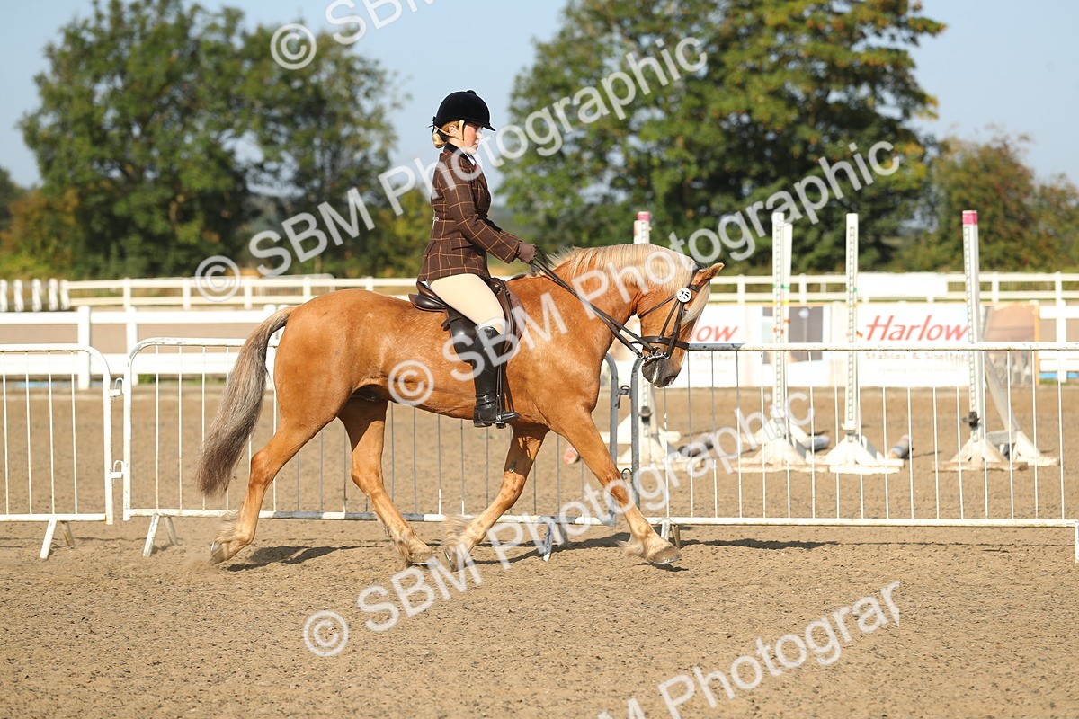 SBM_01121 - Class 42 Ridden Veteran