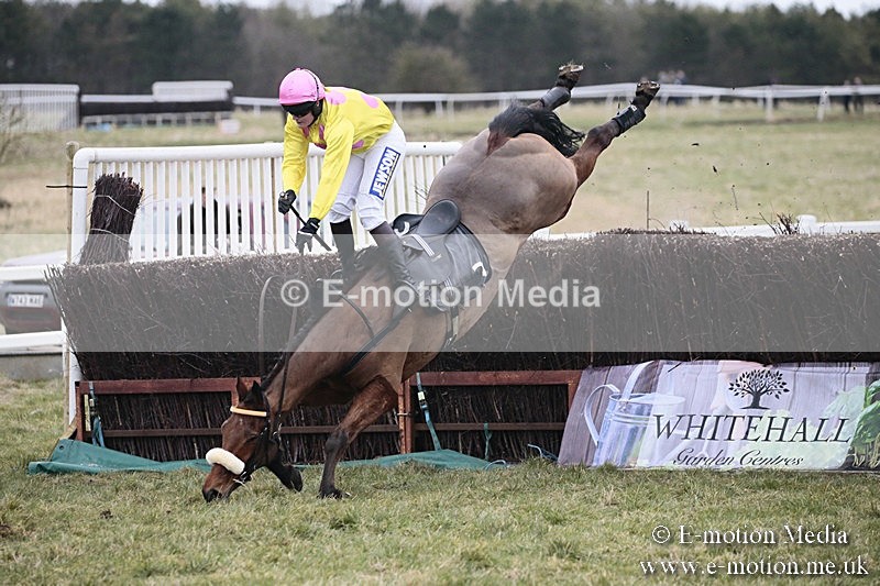 PtP 180218 276 - Combined Services Point-to-Point Larkhill 18/02/18