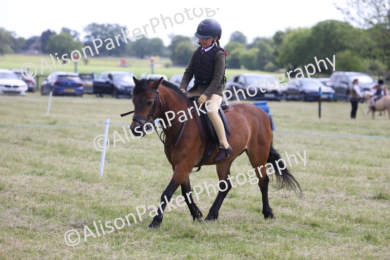 20260614-1836 - Class 21 - Novice Working Hunter Pony