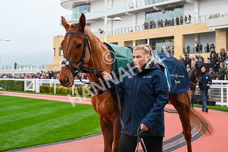 131224-Race 3-Wreckless Eric-9436 - Race 3