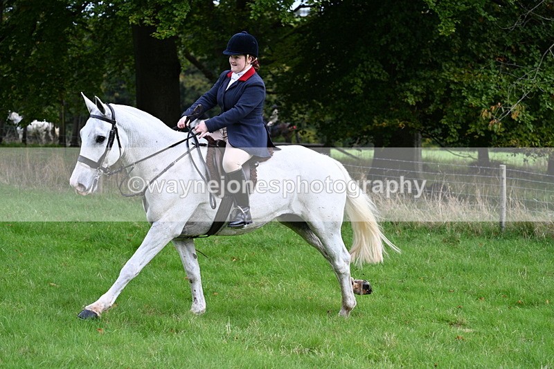 WJ7_4708 - Camera 1 Line 3