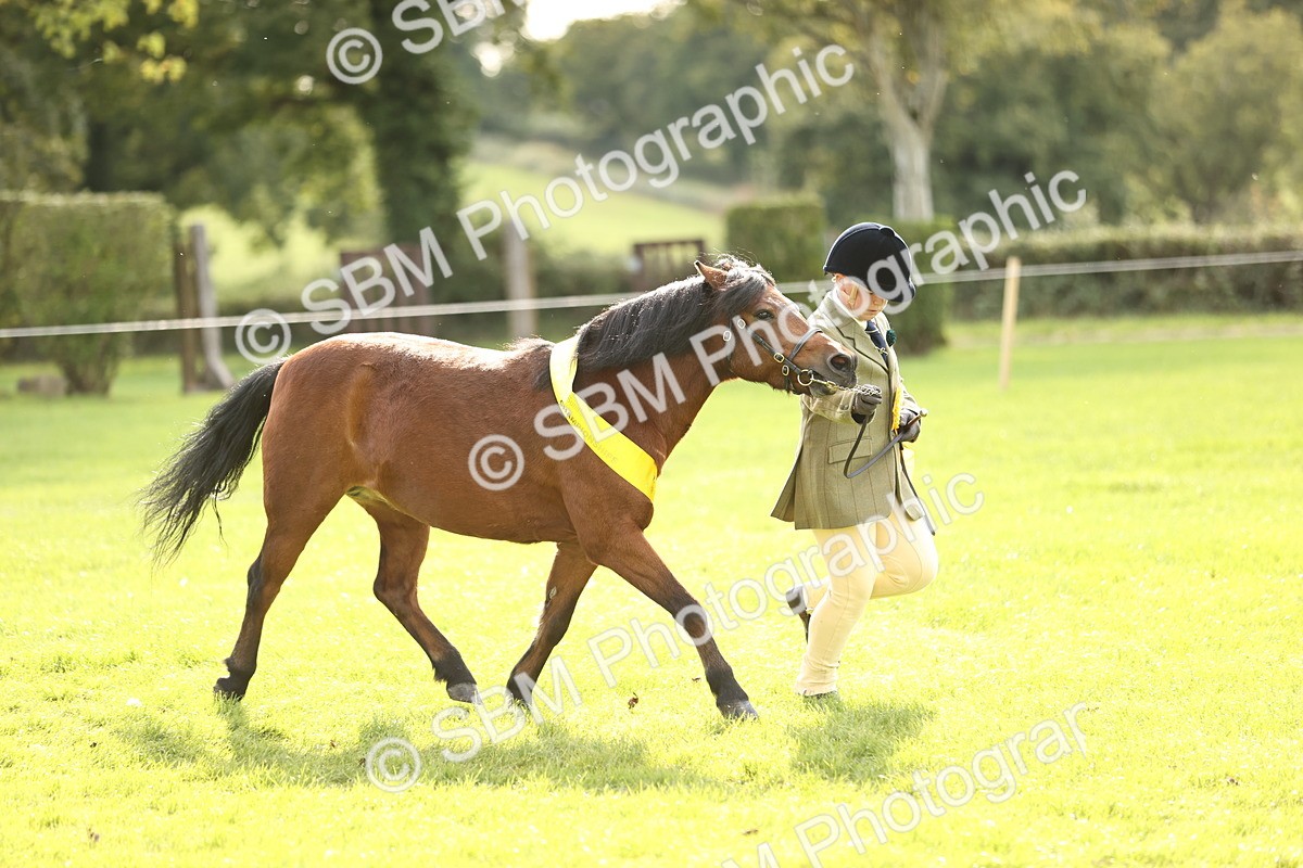 SBM_26301 - S5 - Novice & Newcomers In Hand