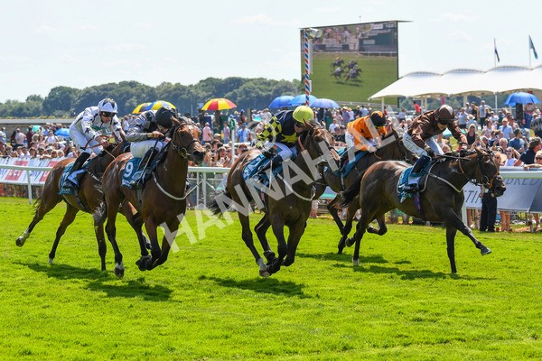 160623-Race 2-Celestial Flight-0301 - Race 2 2.25pm SKF Rous Selling Stakes