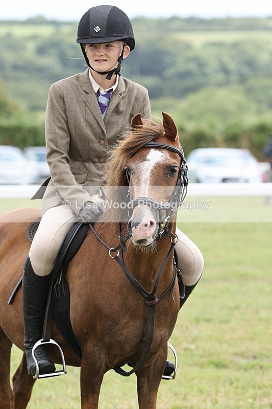JPP_1952 - Class 18: Tiny Tots Working Hunter Pony