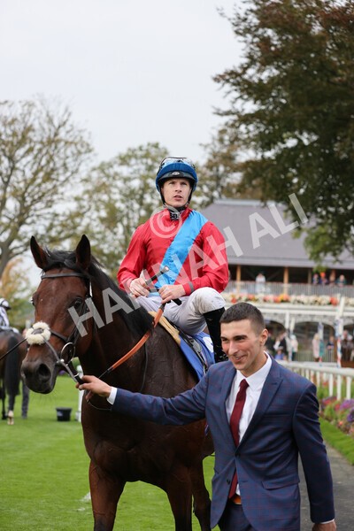 yr09102021r3-38 - Race 3 2.37pm Play Coral Racing-Super-Series For Free Handicap