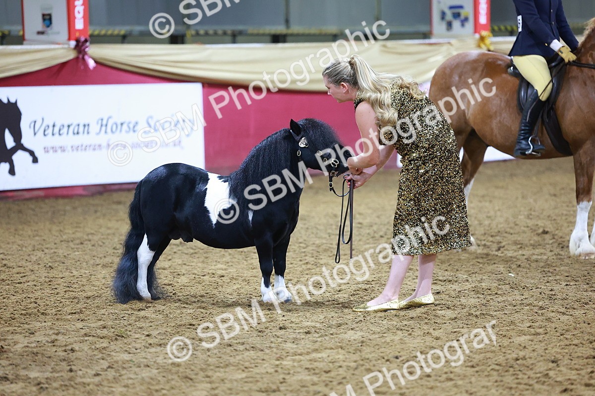 SBM_15275 - Class P - M&M Champ