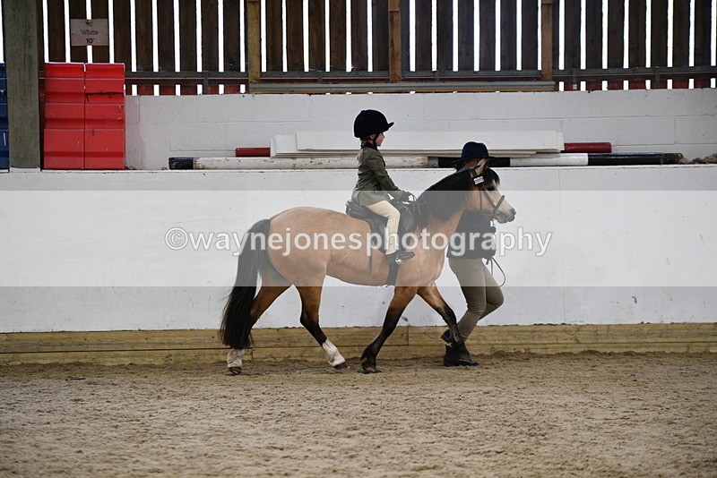WJ5_6699 - Class 10 Childs Pony