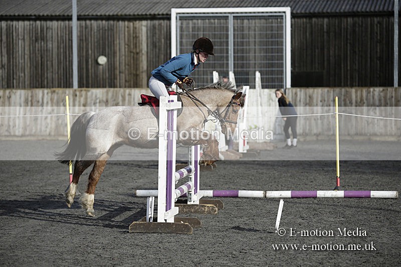 BVRC 050320 0023 - Bourne Valley riding Club Show Jumping Tidworth 08/03/20