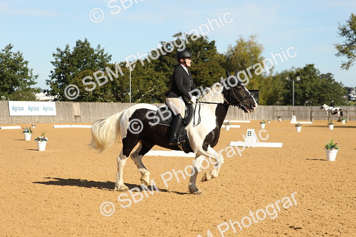 SBM_16557 - D10 - Small Tour Championship - Prelim 2