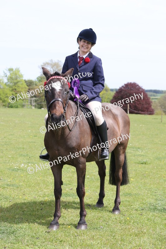 20260426-4028 - Class 33 - Best Pony 14.2hh and Under
