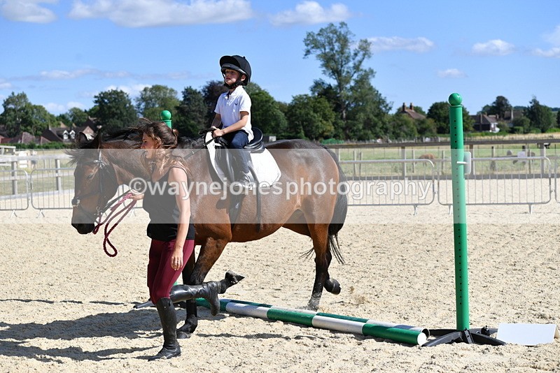 WJ5_5420 - Poles on the Floor