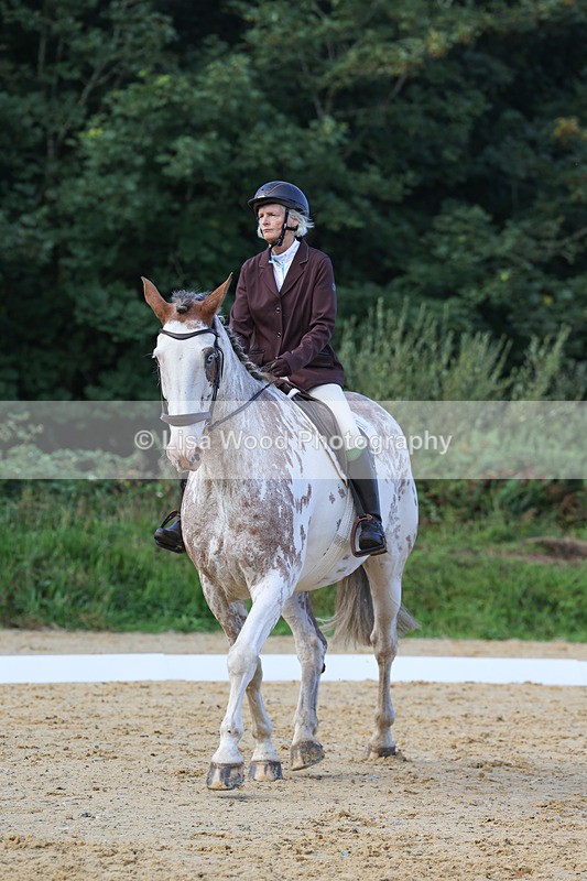 3E7A2421 - Class 1: Intro 4 2024 section A