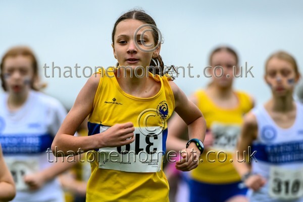 WestRLY25-923437 - Young Female Set One