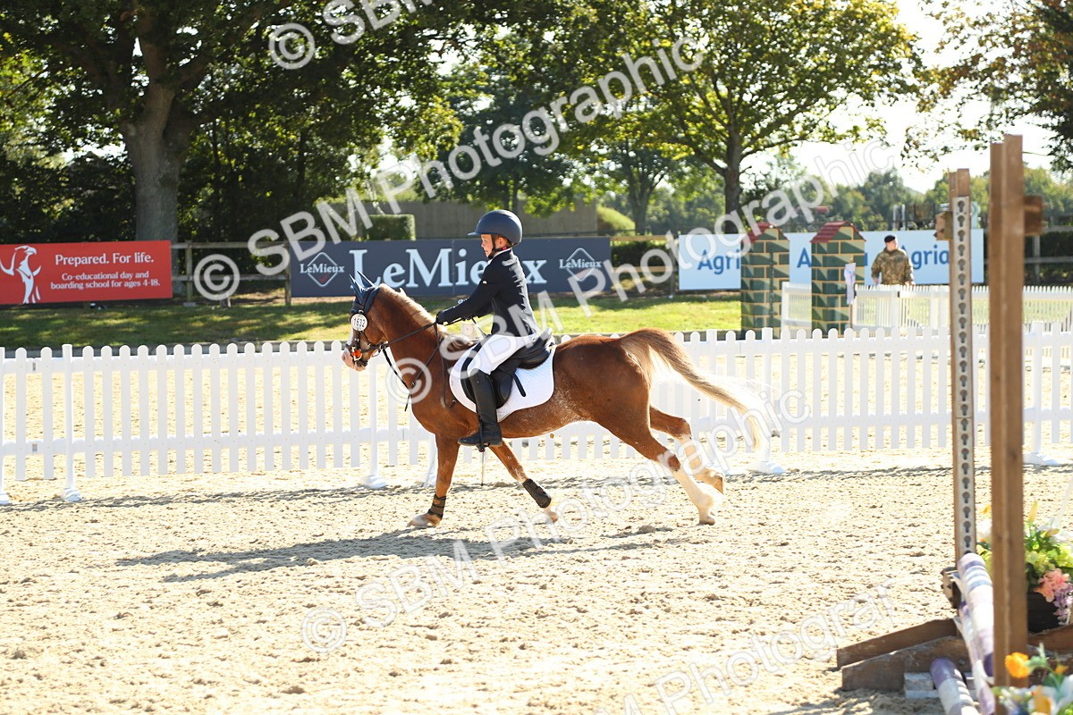 SBM_36069 - J5 - Junior Pony 50cm Championship