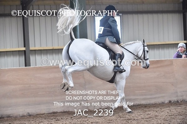 JAC_2239 - CLASS 2 Novice Working Hunter