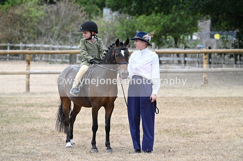 WJ7_0413 - Class 6 Ridden Mountain and Moorland