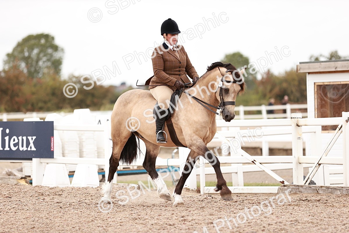 SBM_19078 - Class 422 - Ridden M&M