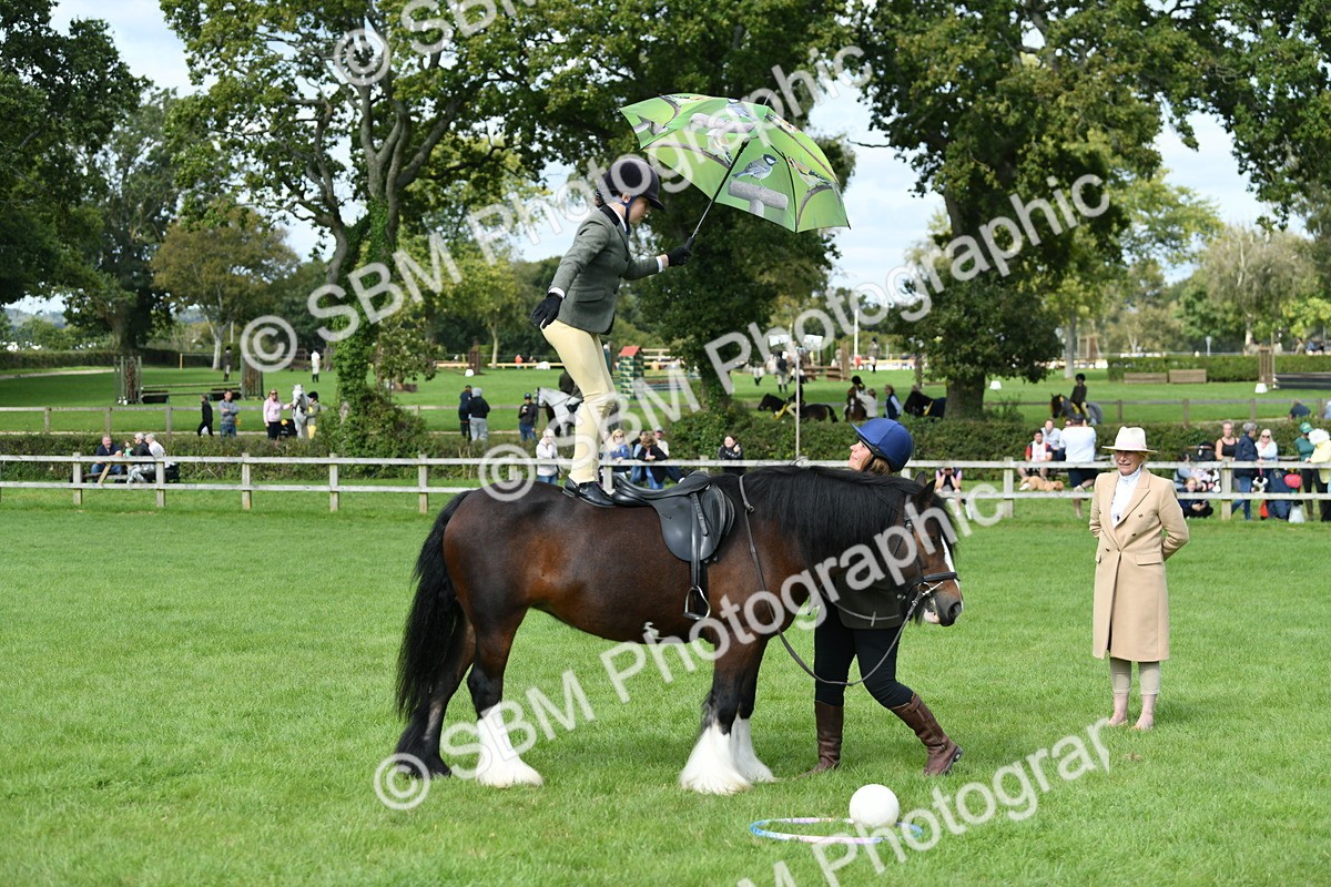 SBM_46932 - S12 - Family Horse & Pony