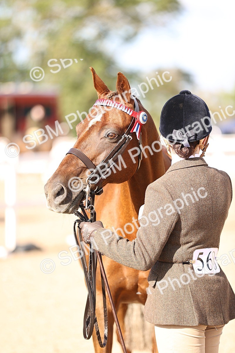 SBM_08534 - Class 402 - IH Veteran Pony