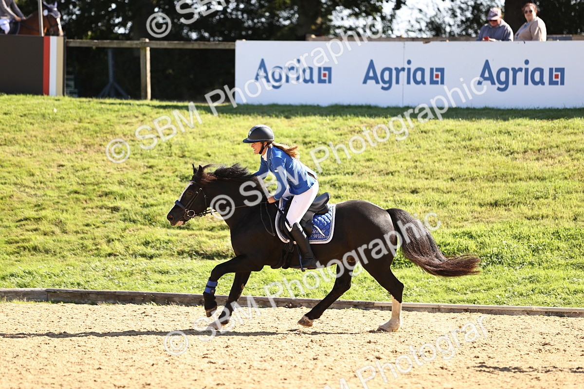 SBM_38486 - J39 - Senior 85cm Championship