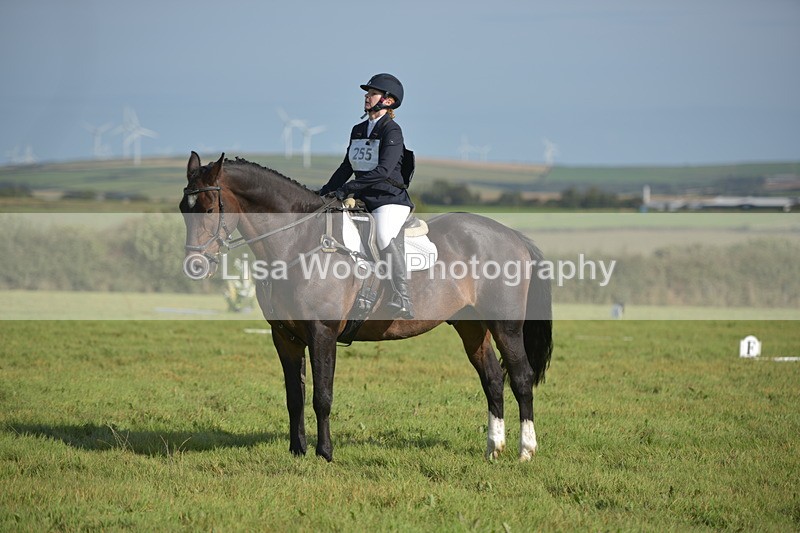 RAY_7524 - Class 2B: Trekenning Open: Dressage