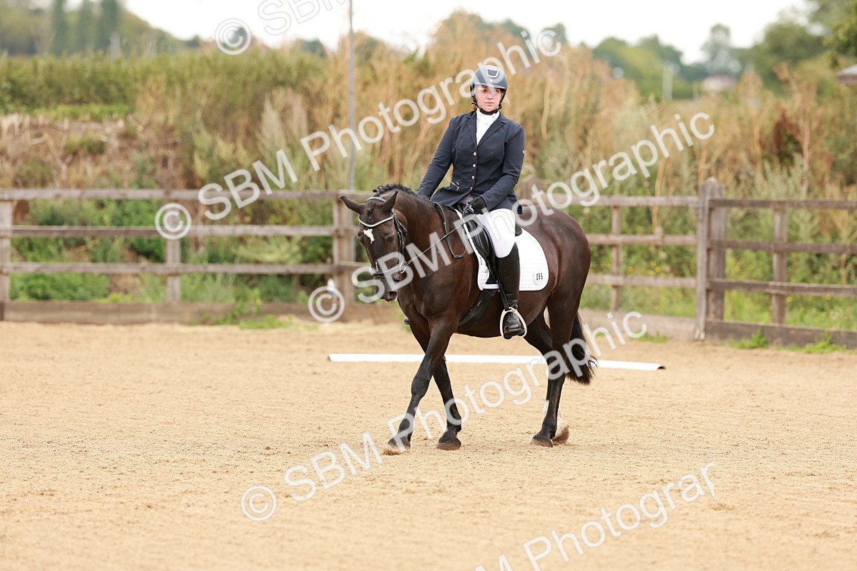 SBM_001054 - Intro 2