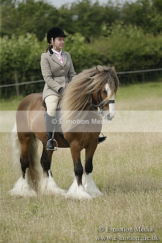 B230619-0458 - Bourne Valley Riding Club Summer Show 23/06/19