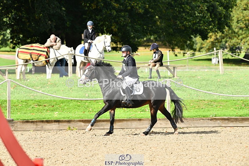 251004A-121046-00931 - Classes 4 & 5 50cm