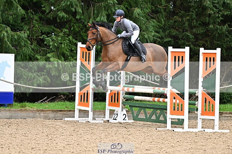 250201A-103459-00262 - Cls 01 Local Horse 90cm