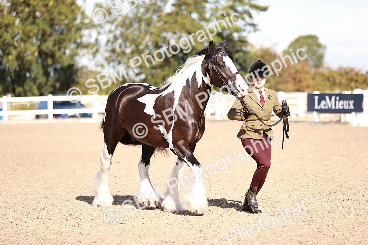 SBM_12608 - Class 404 - IH Traditional - Native Cob